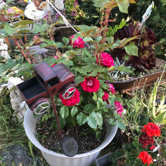 cher1204